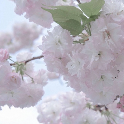 Furry角色动作设计福瑞交流群